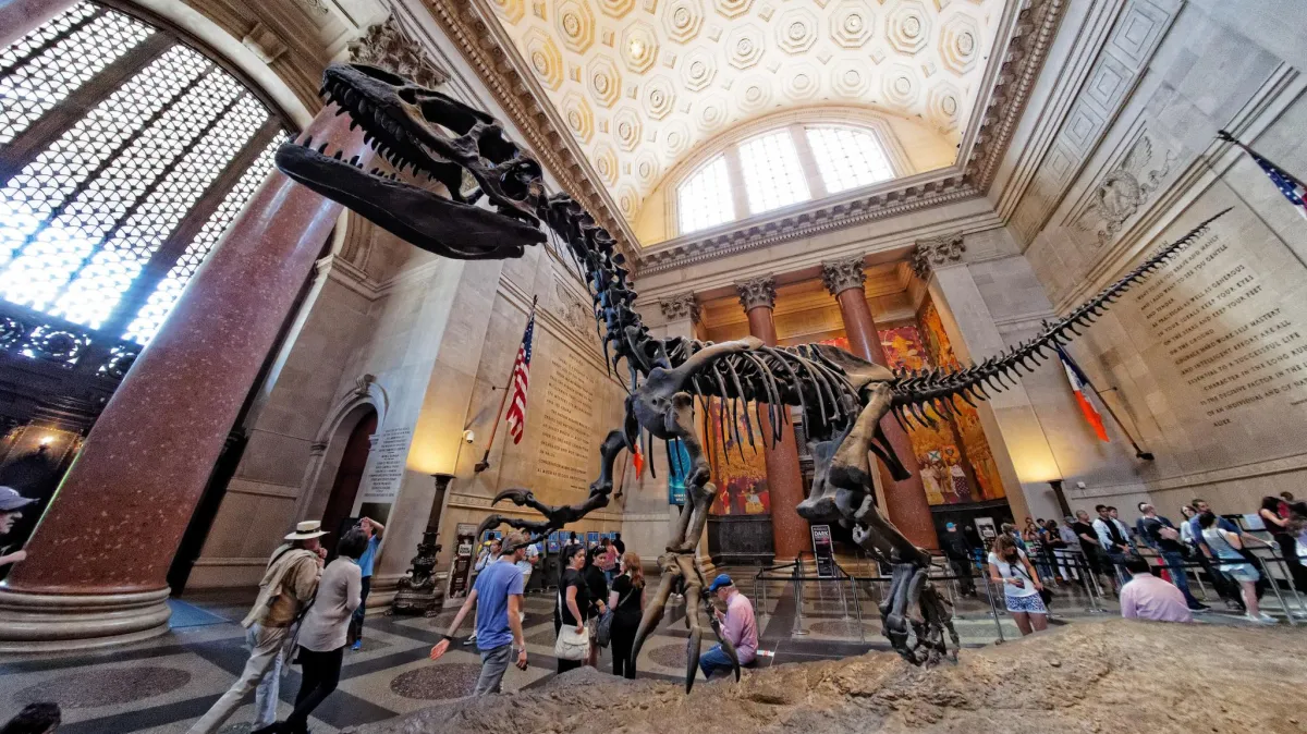 American Museum