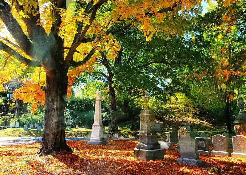 Mount Auburn Cemetery