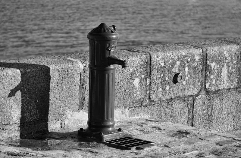 The Tin Cup Nightmare That Sparked America's Throwaway Culture